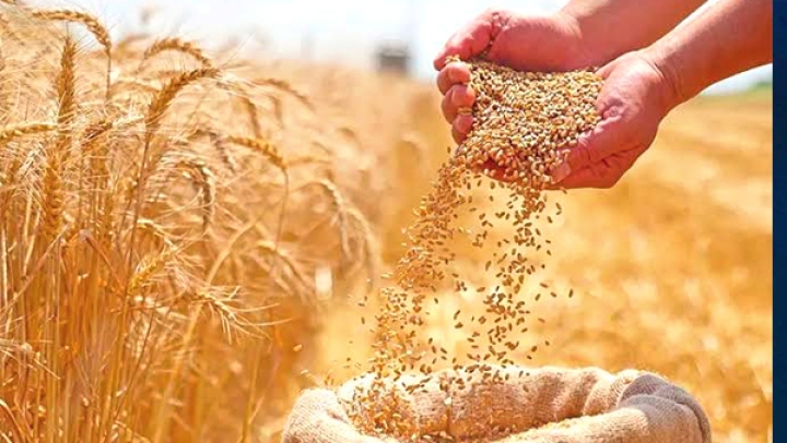 ربط البحث العلمي بالميدان وتعزيز المكننة والتكوين