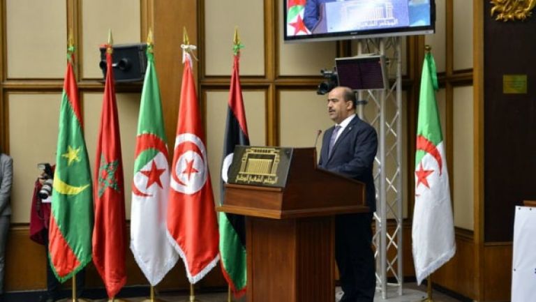 المقاربة الجزائرية الأنسب لحل الأزمة الليبية