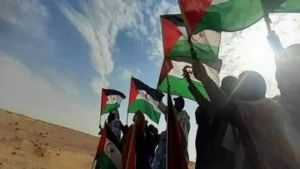 إيطاليا تطالب بتعيين مبعوث أممي إلى الصحراء الغربية