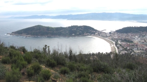 "شولوس" تتزين لزوارها