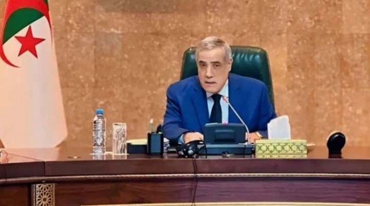 تطوير شعبة الليثيوم وفق الرؤية الاستراتيجية للرئيس تبون