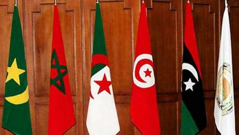 استنكار التدخل السافر للبرلمان الأوروبي ضد الجزائر