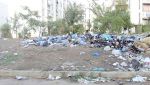 انتشار النفايات والحيوانات الضالة بالمدينة