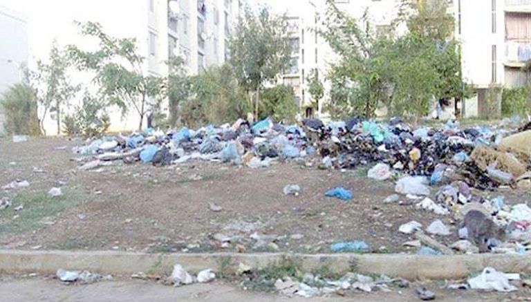 انتشار النفايات والحيوانات الضالة بالمدينة