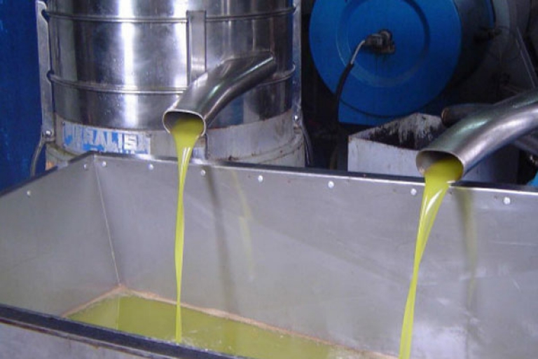 32 معصرة لإنتاج 23 ألف هكتولتر من الزيت هذا الموسم