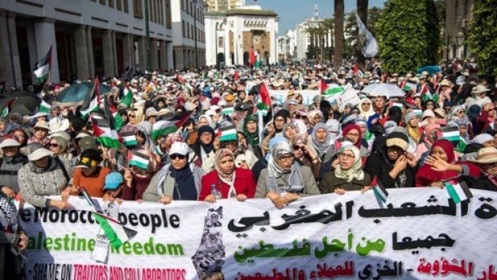 صرخة المغاربة ضد خيانة المخزن لفلسطين