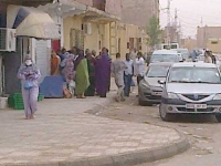 انتشار مقلق للذباب