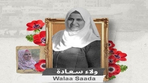الجزائر تكرم السينما النسوية الفلسطينية
