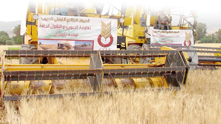 نحو إنتاج 107 ألف قنطار من الحبوب والأعلاف