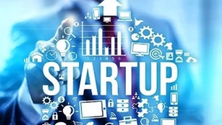 المؤسسات النّاشئة.. رافد التنويع الاقتصادي