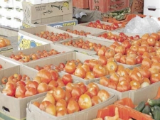 المطالبة برفع سعر المحصول
