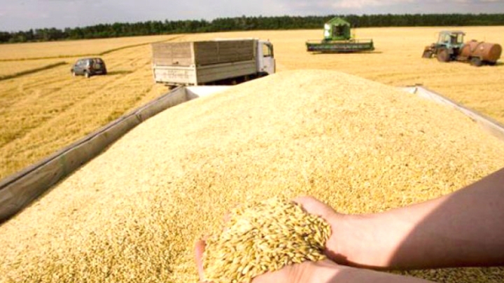 150 مشروع استثماري بعين تموشنت