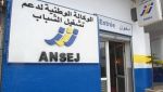 28 % من المؤسسات المصغرة تنشط في الخدمات