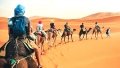 التجند لإنجاح المهرجان الدولي للسياحة الصحراوية بتيممون