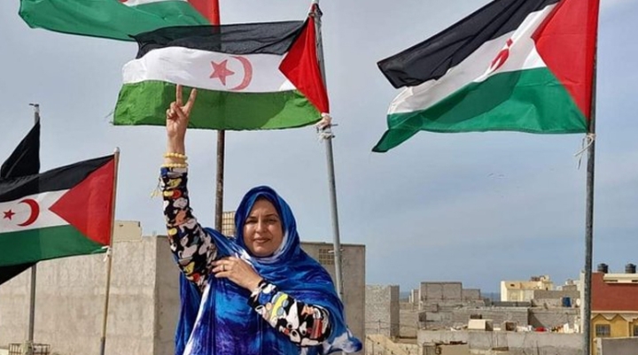 موقع إخباري إسباني يفضح خيانة المخزن للحقائق والتاريخ