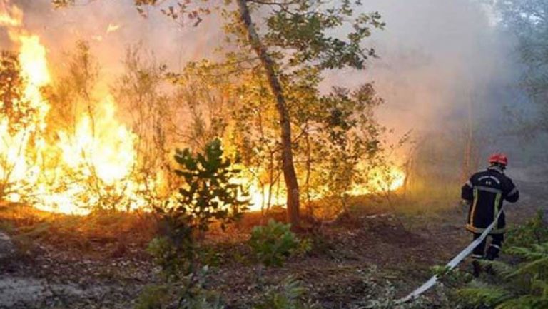 توقيف مضرمي النار في غابة بومرقد