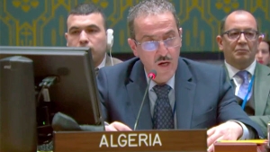 الممثل الدائم المساعد للجزائر لدى الأمم المتحدة، نسيم قاواوي