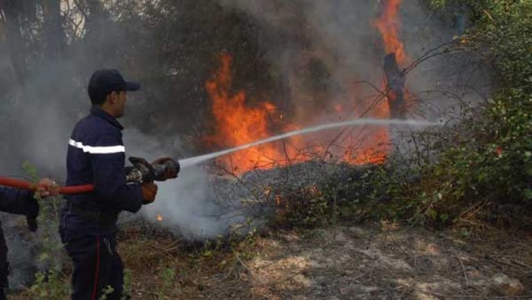 حملة للوقاية من حرائق الغابات في أربعين قرية