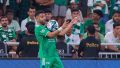 قائد المنتخب الوطني رياض محرز