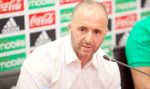 مدرب المنتخب الوطني لكرة القدم جمال بلماضي