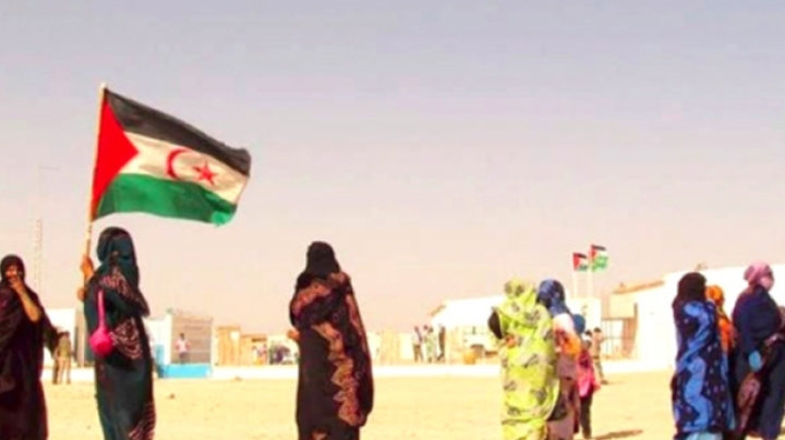 بلدية "لافرونتيرا" الإسبانية ترفض انتهاكات حقوق الإنسان