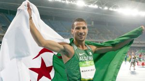 توفيق مخلوفي، البطل الأولمبي لمسافة 1500 متر بأولمبياد لندن 2012