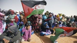 الشعب الصحراوي يحي الذكرى الـ 47 لميلاد جبهة البوليزاريو