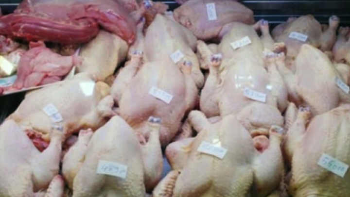 ضمان تموين السوق واستقرار أسعار الدواجن