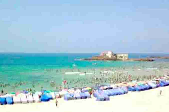 صيف الطارف للأغنية التقليدية والعصرية