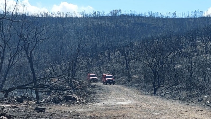 جهل الفلاحين بأهمية التأمين يضيّع حقهم في التعويض