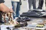 عصابة بحوزتها 38 سلاحا أبيض وكلاشنيكوف