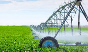 بلوغ مليوني هكتار من الأراضي المسقية في 2019