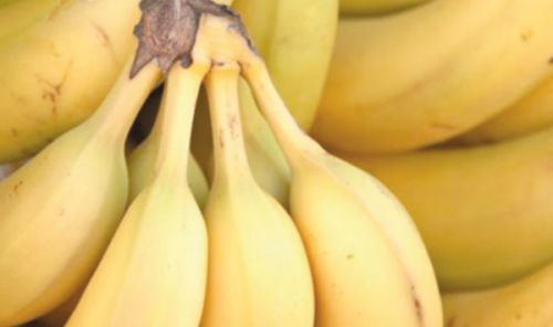 الموز يعزز صحة العظام والجهاز العصبي