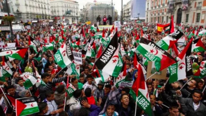 مطالب ببذل مزيد من الجهود للدّفع بمسار التسوية