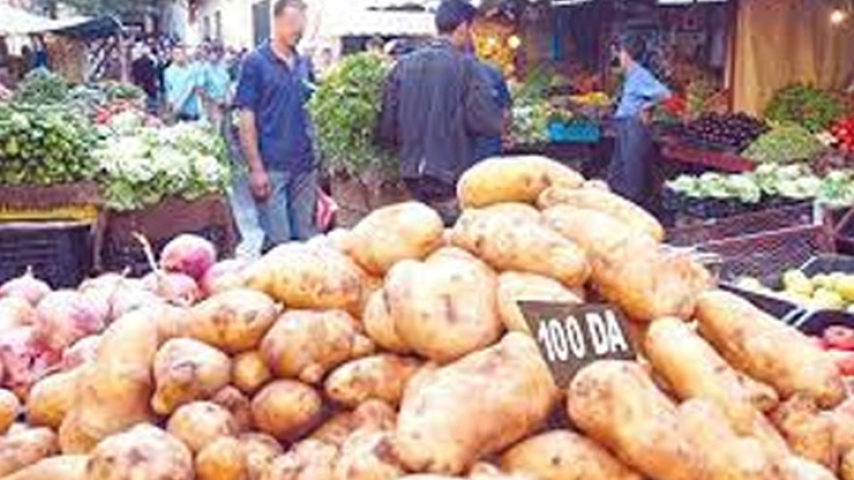 "البطاطا" تصنع الحدث.. وحرب على اللوبيات