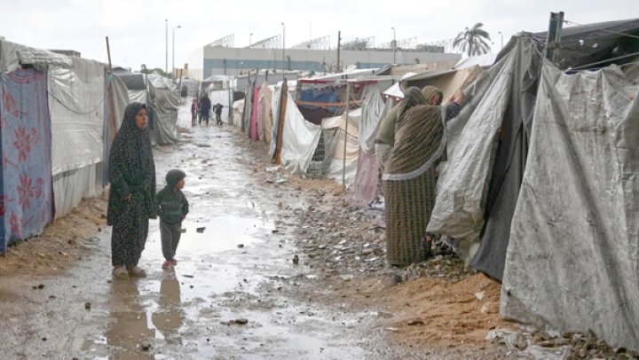 نداء استغاثة عاجل لإدخال البيوت المتنقلة إلى غزّة