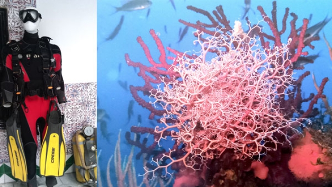 صور حملها غواصون من البحر إلى البر