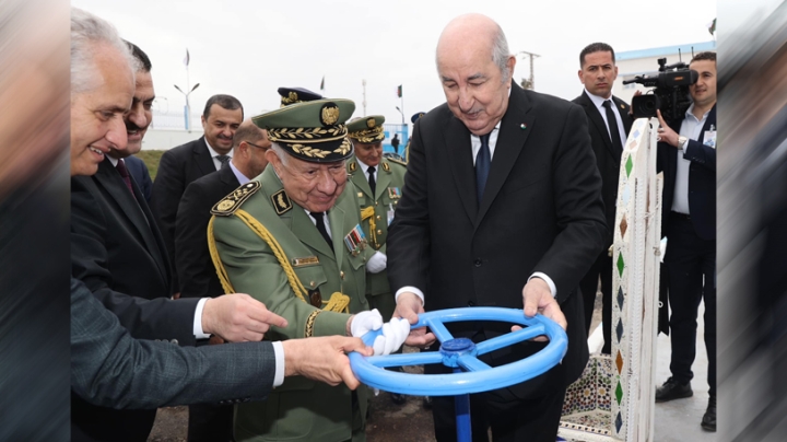 الرئيس تبون يقف دائما في صف المواطن