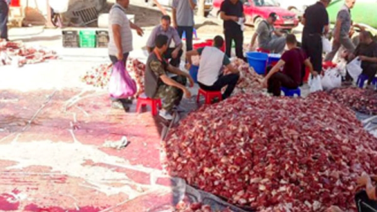 توجُّه كبير نحو" لوزيعة" ببجاية