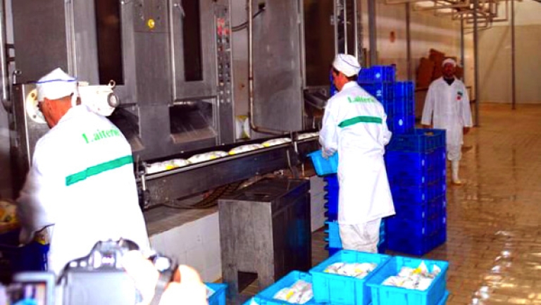 انطلاق أشغال إنجاز مصنع للحليب قريبا في الرويبة