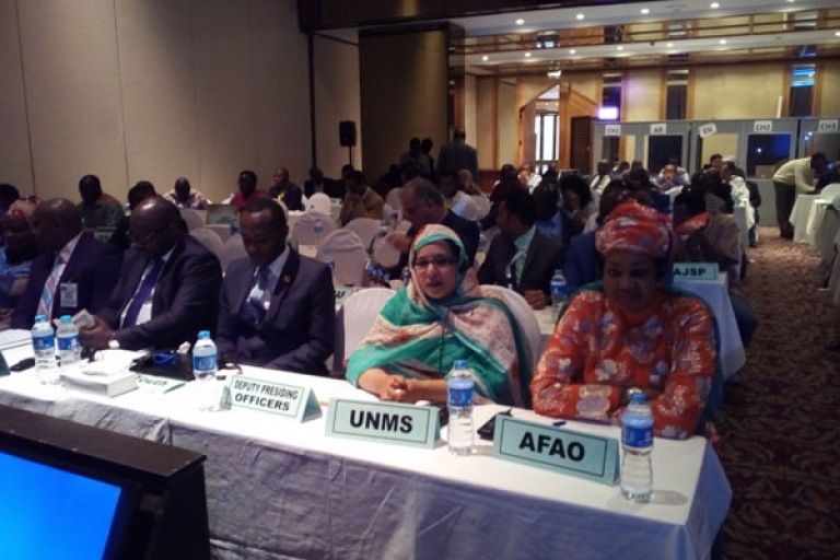 الجمهورية الصحراوية نائبا لرئيس "الايكوسوك"