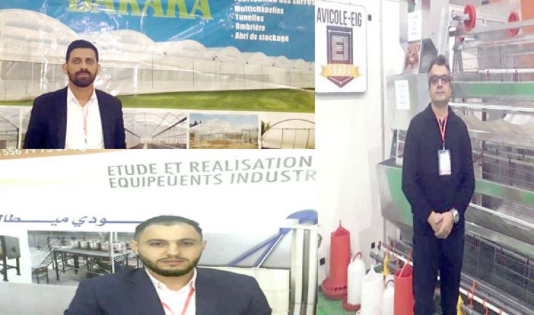 العقار والإجراءات الجمركية تعرقل توسيع النشاط