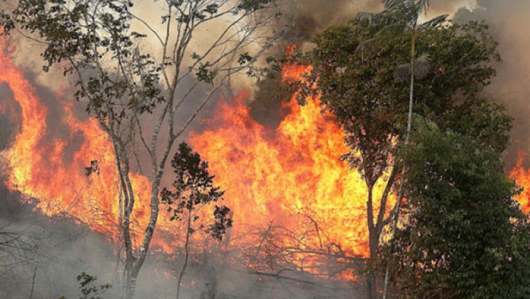 30 قرية بتيزي وزو مهددة بحرائق الغابات
