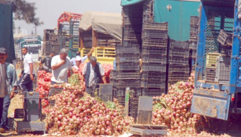 نحو إنشاء سوق للخضر والفواكه بالجملة شرق بومرداس