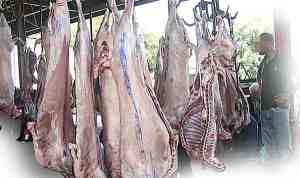 تجار يسوّقون لحما مستوردا بوسم محلي
