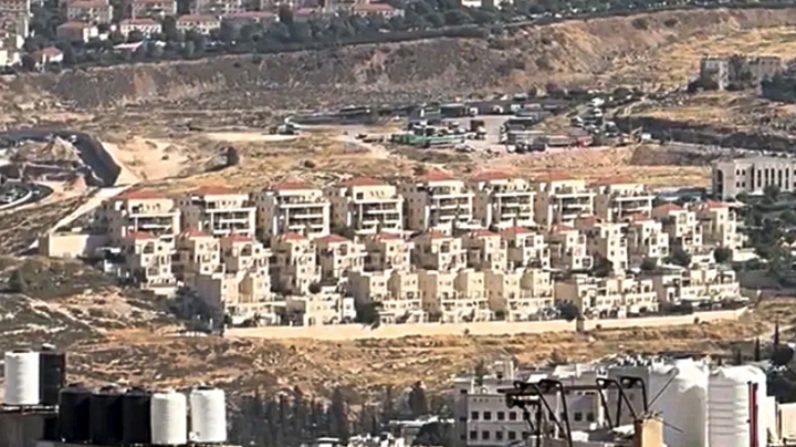 فلسطين تطالب باتخاذ إجراءات عاجلة
