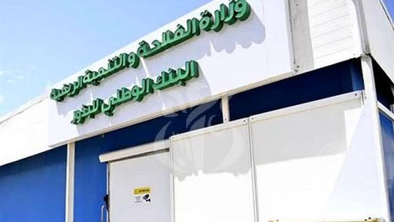 إطلاق أول بنك وطني للجينات الزراعية في 5 جويلية القادم