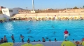 فضاء للراحة والترفيه يستقطب العائلات والمصطافين