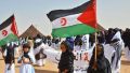 صحافيون وحقوقيون يتبرّؤون ويجدّدون دعمهم للقضية الصحراوية