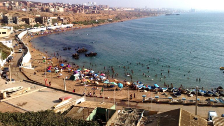 مديرون تنفيذيون يعرضون برامجهم